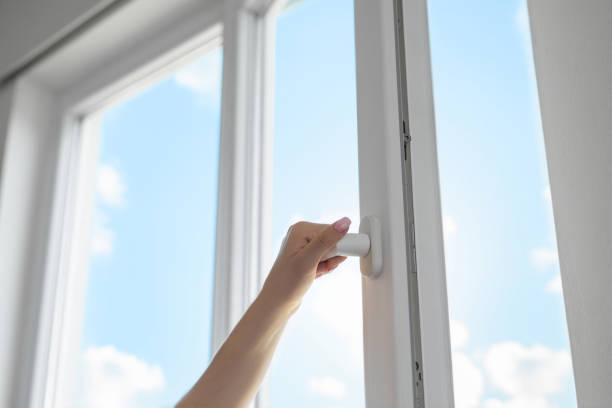 Skylights and Roof Windows